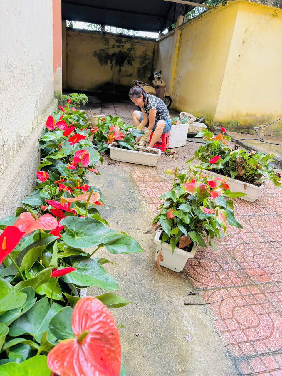Trường THCS Mường Thanh: Rộn ràng ngày trở lại – Sẵn sàng cho năm học mới!
