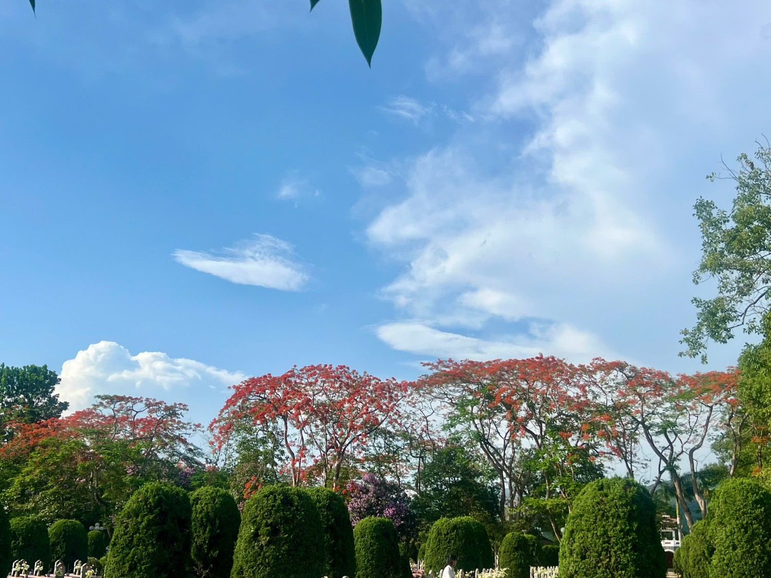 Trường THCS Thanh Bình - Phường Điện Biên Phủ, tỉnh Điện Biên dâng hương tri ân các anh hùng liệt sỹ nhân kỷ niệm 72 năm chiến thắng Điện Biên Phủ